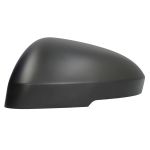 Boîtier, coque, rétroviseur extérieur BLIC 6103-16-2384310P