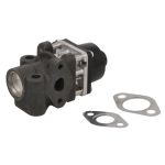 AGR Ventil BORG WARNER 711024D