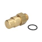 Drucksicherungsventil DT Spare Parts 2.44021