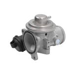 AGR Ventil BORG WARNER 7241D