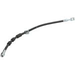 Bremsschlauch DELPHI LH8047