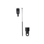 Gasfeder, Koffer-/Laderaum STABILUS STA980986