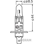 Żarówka (halogenowa) W100W OSRAM Off-Road - karton 1 szt., tylko do zastosowań specjalnych / rajdowych - brak ECE