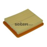 Luftfilter PURFLUX A1175
