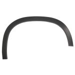 Aile - moulure / protection BLIC 5703-08-3220372P