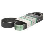 Keilrippenriemen GATES CB0073