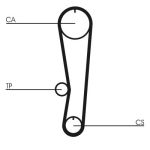 Set di cinghie di distribuzione CONTINENTAL CT568K1