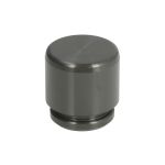 Zuiger, remklauwcilinder AUTOFREN SEINSA D0-25611