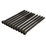 Bultsats för cylinderhuvud REINZ 14-35738-01