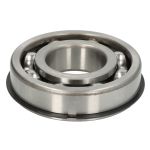 Cuscinetto FERSA 6309NR /FERSA/