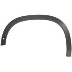 Aile - moulure / protection BLIC 5703-08-3220373P