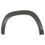 Aile - moulure / protection  BLIC 5703-08-1312376P