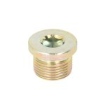 Schroef plug oliepan DT Spare Parts 9.29014