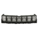 Grille de radiateur BLIC 6502-07-3235990P