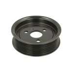 Poulie (pompe de direction assistée) VM MOTORI VM20602150F