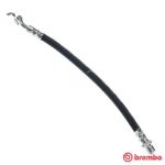 Latiguillo de freno BREMBO T 83 097