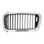 Grille de radiateur BLIC 6502-07-0075991P Gauche