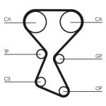 Set di cinghie di distribuzione CONTINENTAL CT1027K1