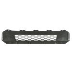 Kühlergitter PACOL IVE-FP-018