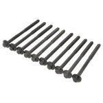 Juego de tornillos de culata REINZ 14-18424-02