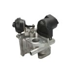 AGR-Ventil DELPHI EG10562-