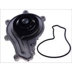 Vattenpump MAGNETI MARELLI 352316170917