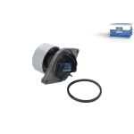 Pompe à eau DT SPARE PARTS 1.00781