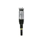 Pneumatische veerpoot Origineel Arnott Product ARNOTT EUROPE AS-5163