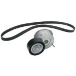 Keilrippenriemensatz Schaeffler INA 529 0291 10