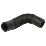 Durite de radiateur THERMOTEC DWD032TT