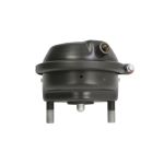 Radzylinder MERITOR MER 68325889 Links