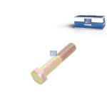 Verzinkte Sechskantenschrauben DT Spare Parts 2.62921