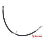 Bromsslang BREMBO T 59 084