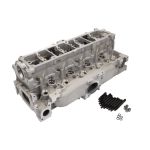 Zylinderkopf FRECCIA1 CH17-1061