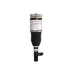 Luftfederbein MAGNUM TECHNOLOGY APV002MT