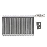 Verdamper, airconditioning BEHR *** PREMIUM LINE *** MAHLE AE 250 000P