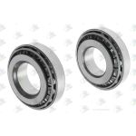 Wiellagerset EURORICAMBI 98170407