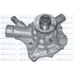 Pompe à eau DOLZ M225