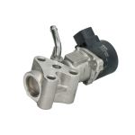 EGR-klep DELPHI EG10532-12B1