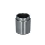 Piston (étrier de frein) AUTOFREN SEINSA D025304