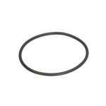 O-Ring, Getriebe ZF 0634313574ZF