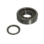 Lager, Eingangswelle (Differential) DT Spare Parts 2.35026