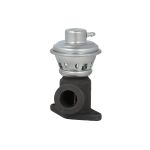 Vanne EGR MAGNETI MARELLI 571822112220