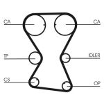 Set di cinghie di distribuzione CONTINENTAL CT1000K1