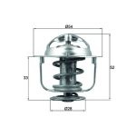 Thermostat (liquide de refroidissement) BEHR MAHLE TX 176 82D