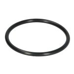 O-ring in gomma DT Spare Parts 4.20023
