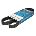 Keilrippenriemen DAYCO 6PK1110