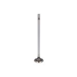 Válvula de escape IPD PARTS 1537024-IPD
