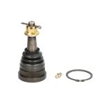 Pino do braço de controlo, dianteiro MOOG AMGK500340