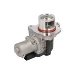 AGR-Ventil MAGNETI MARELLI 571822112330